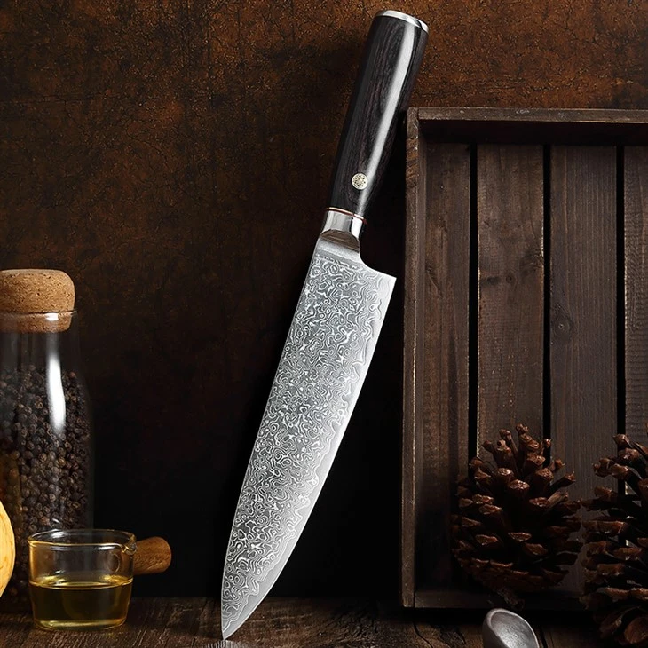 DS-501C 8-Inch Chef Knife ABS Handle